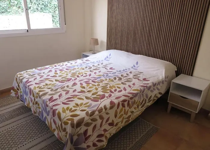 Solymar Willa Alicante